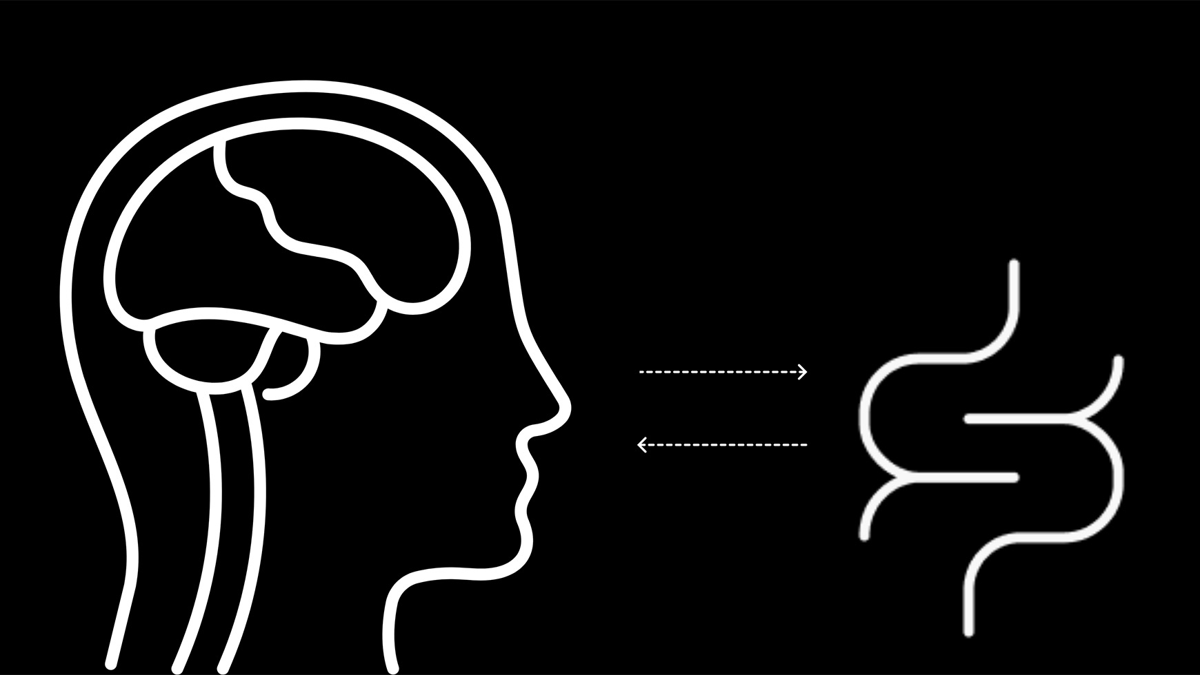 The Gut-Brain Connection